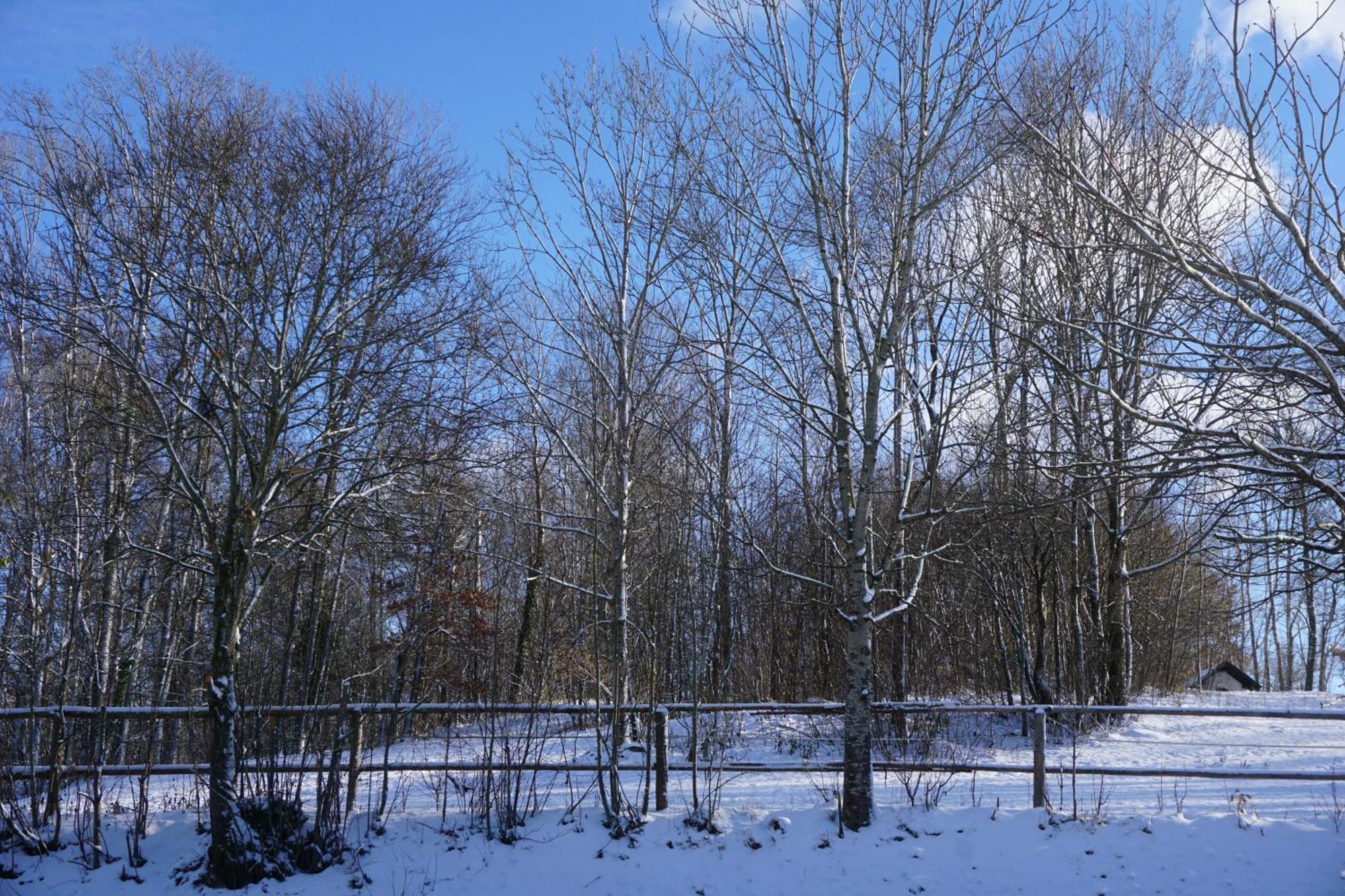 Chalet Waldzeit Zachenberg Kültér fotó