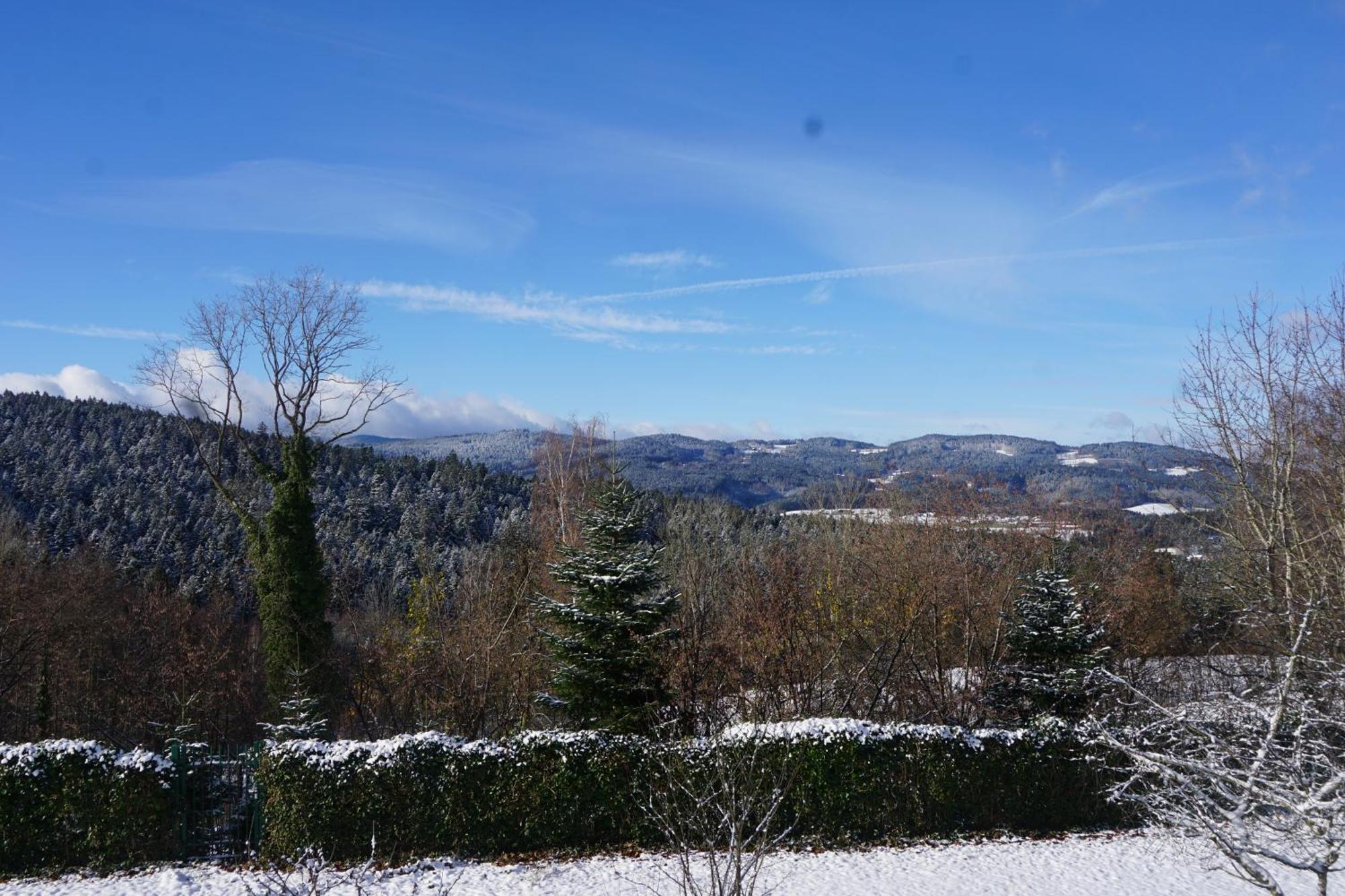 Chalet Waldzeit Zachenberg Kültér fotó